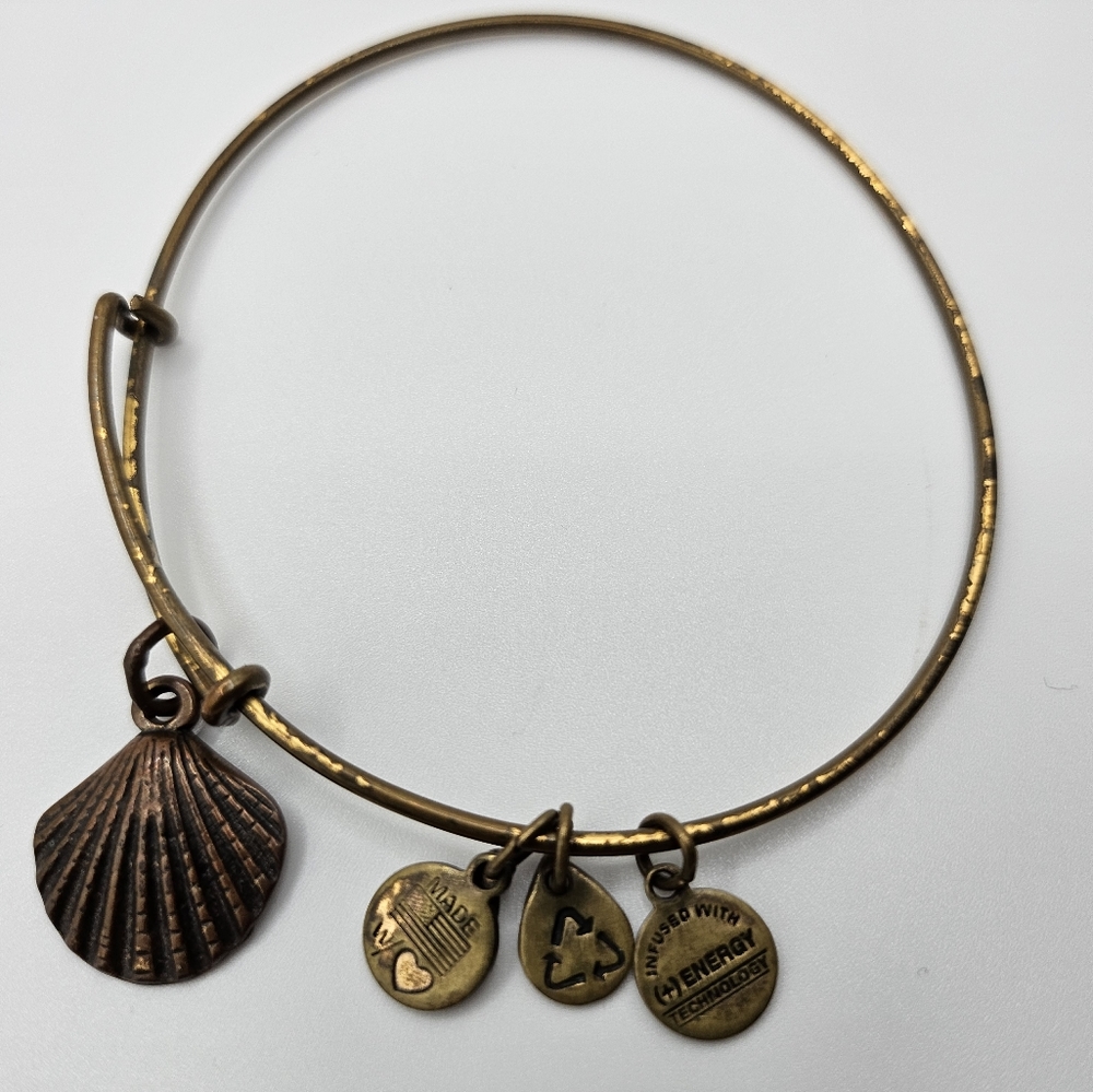 Alex and ani shell charm bracelet.
